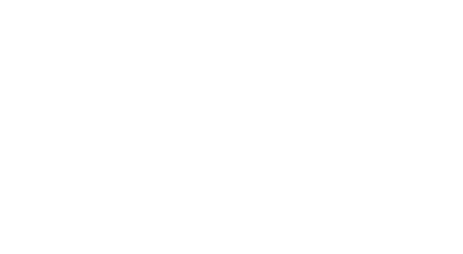 Popp Vision Logo white