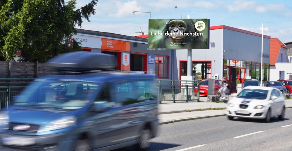 Jane Goodall Institute Austria Kampagne auf Popp Vision LED-Wall DOOH in St. Pölten